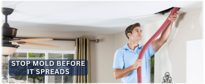 Air Duct Mold Removal in Irving TX